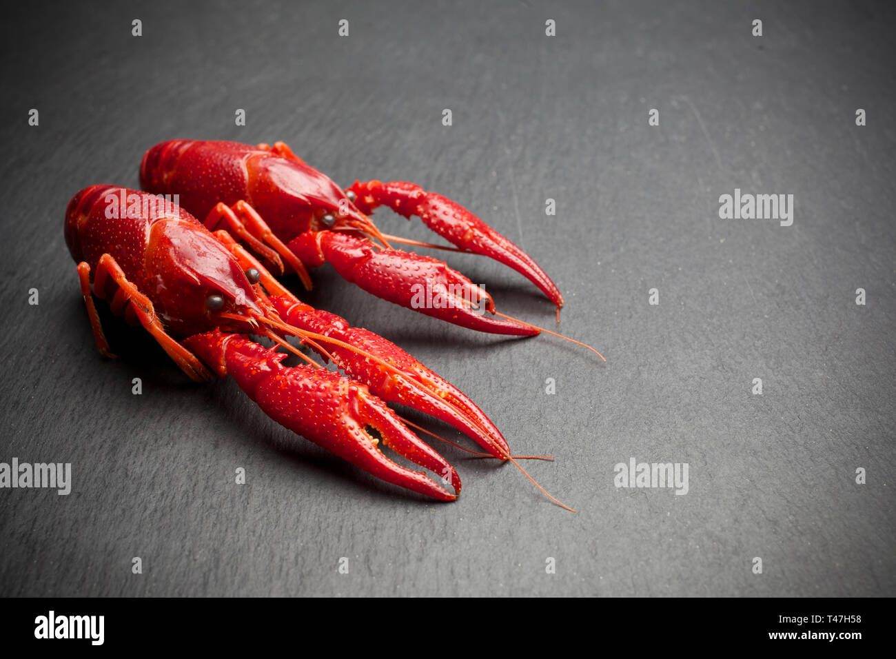 Red cooked lobster on black slate table Stock Photo