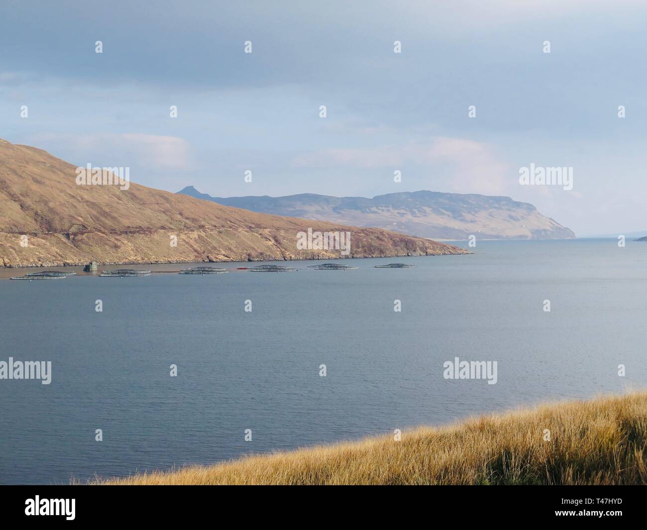 Scotland: Isle of Skye salmon farm Stock Photo