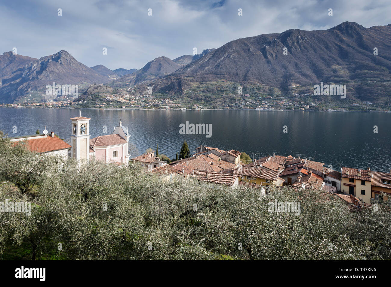 Olive grove and Carzano village of Monte Isola, Lake Iseo, Lombardy, Italy Stock Photo