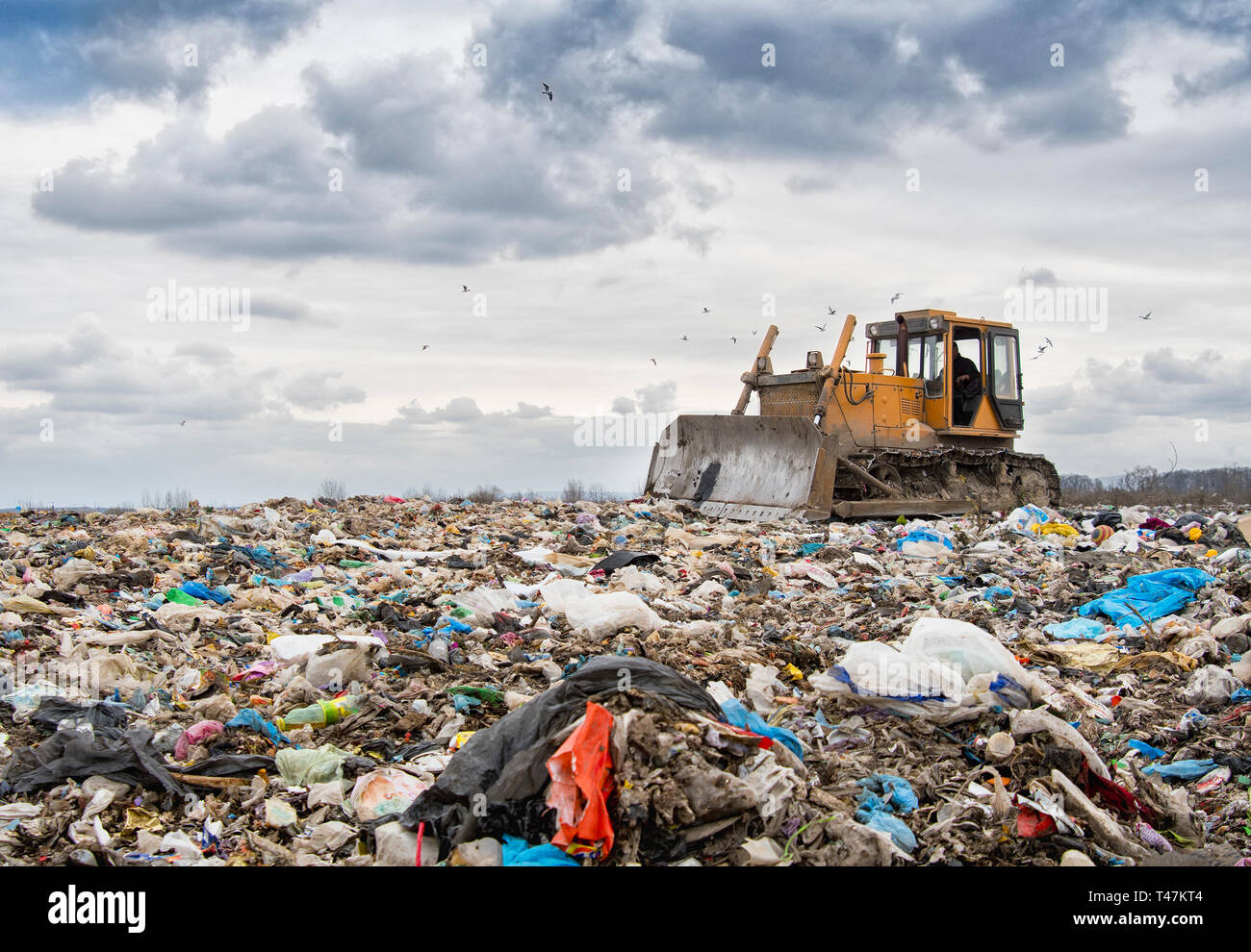 bulldozer working on landfill with birds in the sky Stock Photo