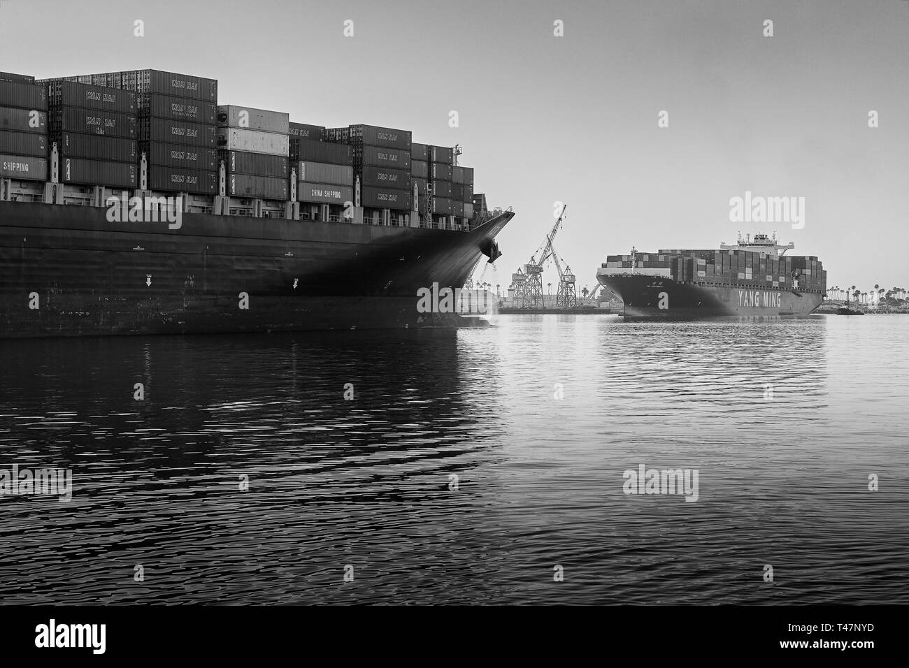 Black & White Photo Of Two Giant Container Ships Passing Each Other In The Narrow Los Angeles Main Channel At The Port Of Los Angeles, California, USA Stock Photo