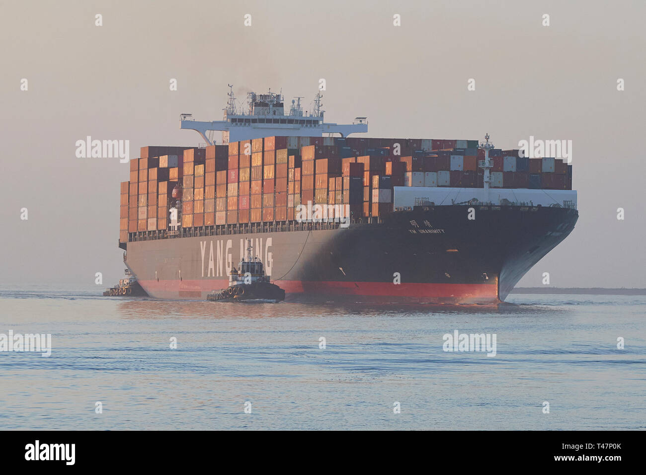 The YANG MING Container Ship, YM UNANIMITY, Enters The Los Angeles Main Channel, Steaming Towards The Los Angeles Container Terminal, California, USA. Stock Photo