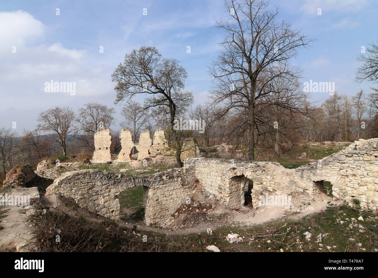 Ruins of Pravda Castle, Czech Republic Stock Photo