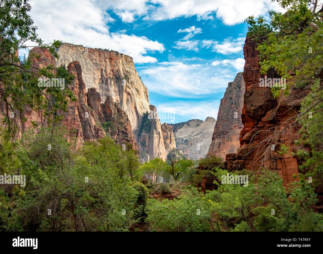 View in zion canyon with mount great white throne hires stock