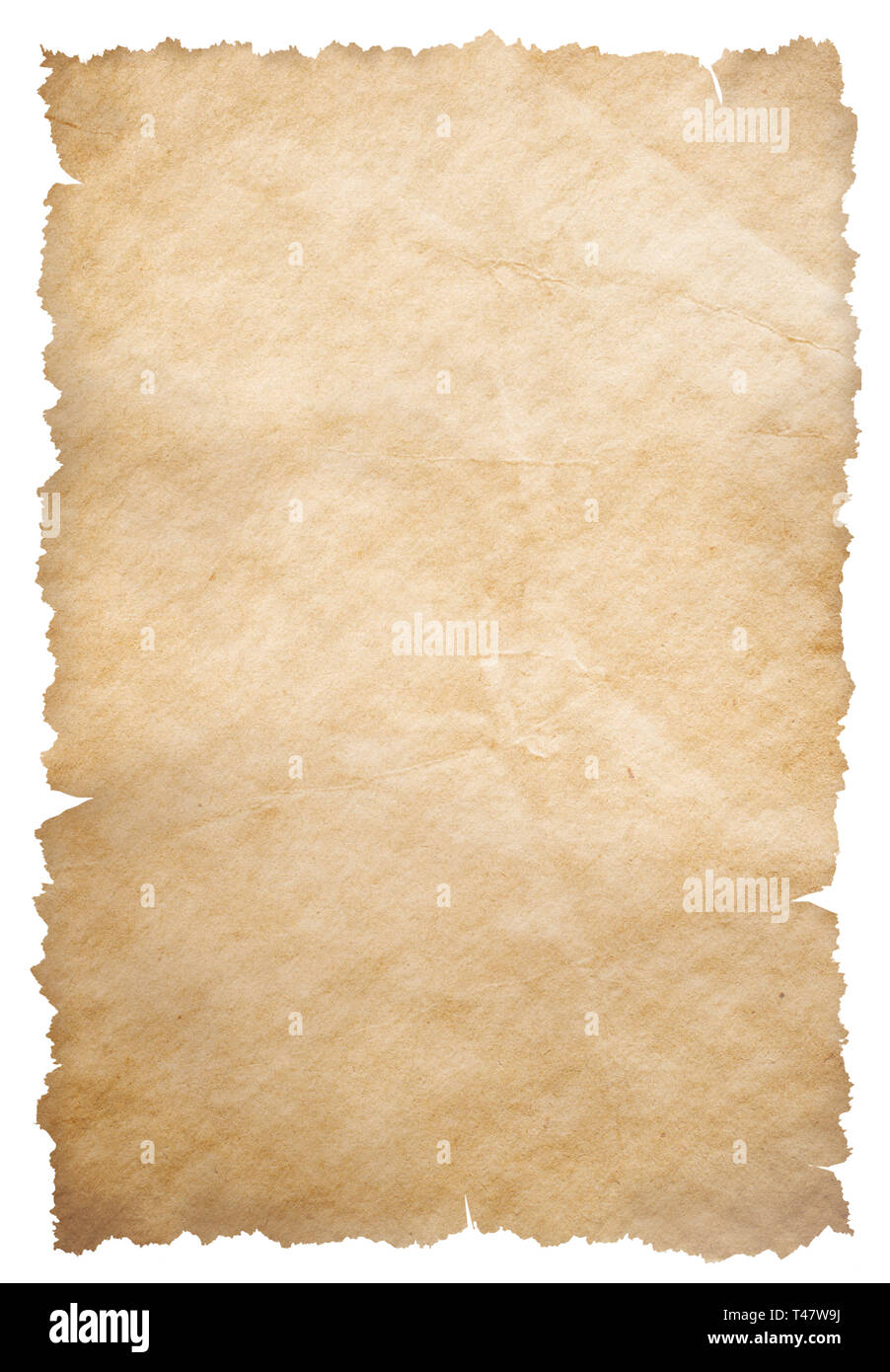 Torn photo picture. Rip paper photograph edge frame vector. Realistic old  foto collage with tape isolated mockup. Vintage ripped blank square  portrait Stock Vector Image & Art - Alamy