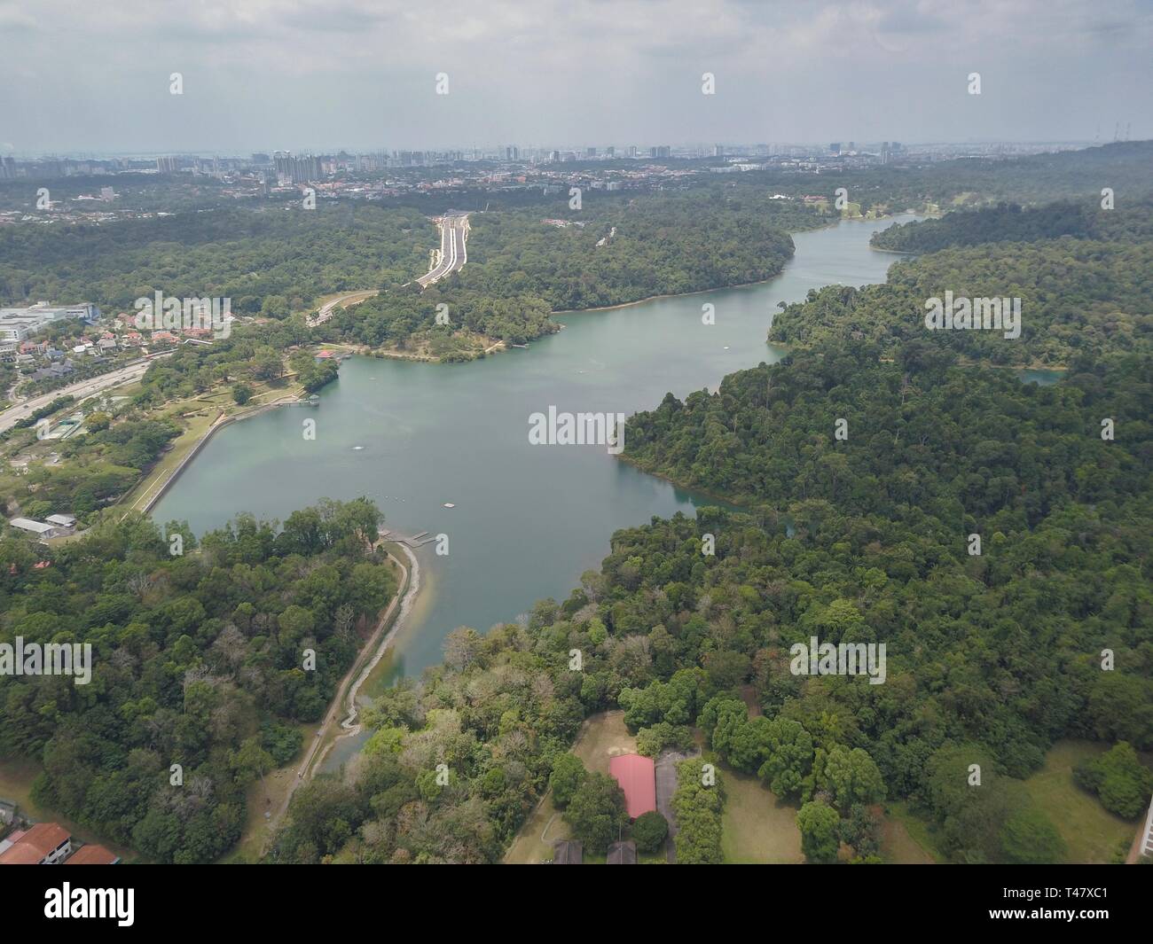 Macritchie Nature Reserve High Resolution Stock Photography and Images -  Alamy