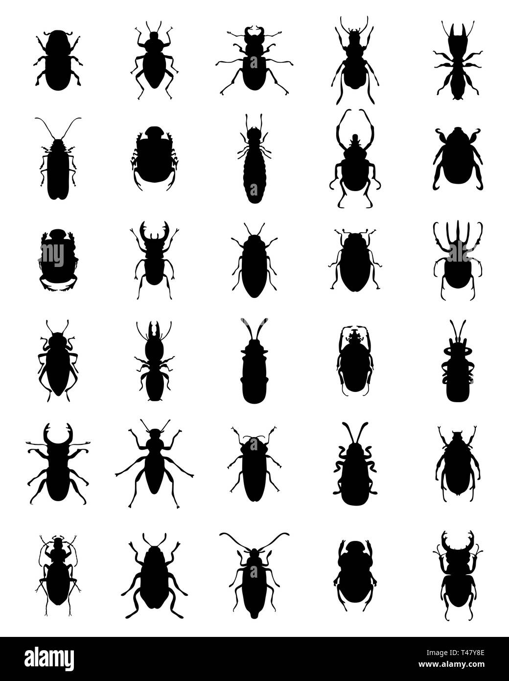 Black silhouettes of different bugs on a white background Stock Photo