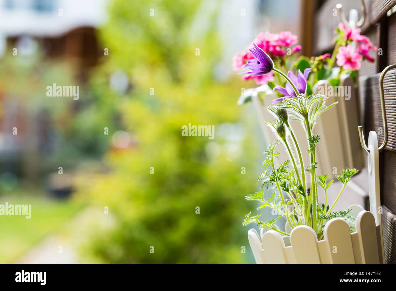 Detail of hanging flower pots on fence Stock Photo