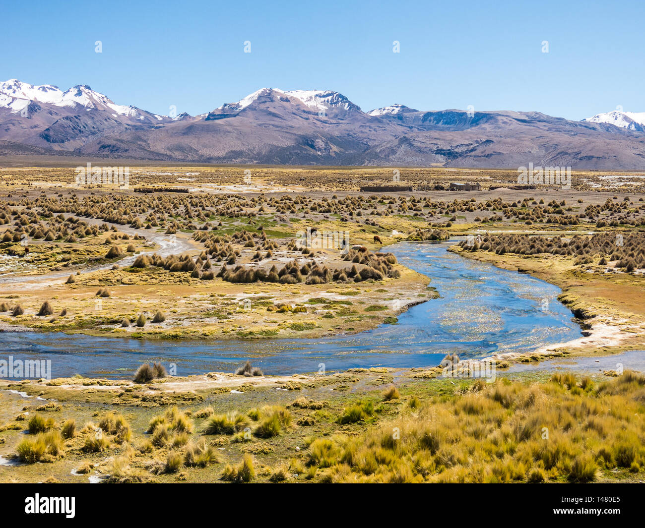 High Andean tundra landscape in the mountains of the Andes. The weather