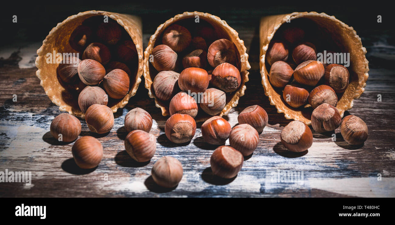 Banner. Hazelnut nuts in waffle cones on a dark background. Low key ...