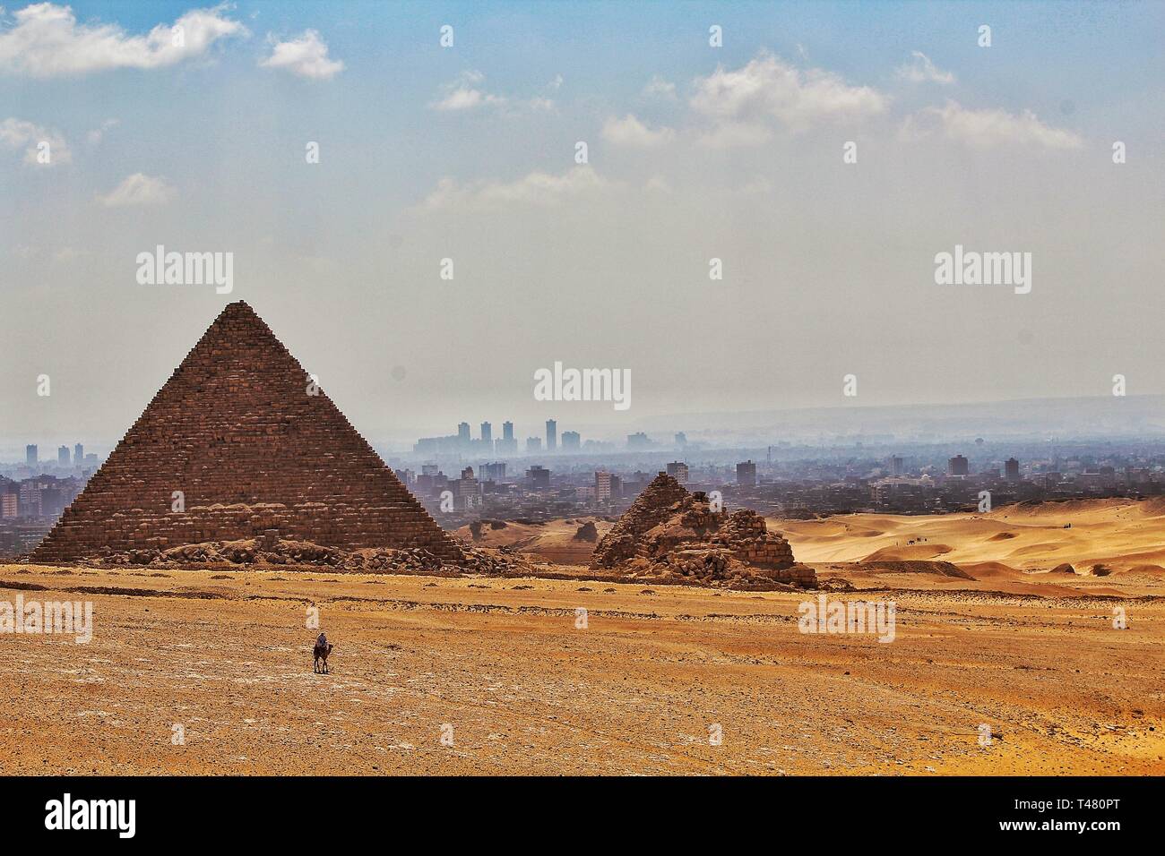 Wallpaper : landscape, desert, pyramid, Egypt, monument, ecosystem, wadi,  badlands, pyramids, camel like mammal 1680x1050 - 4kWallpaper - 618539 - HD  Wallpapers - WallHere