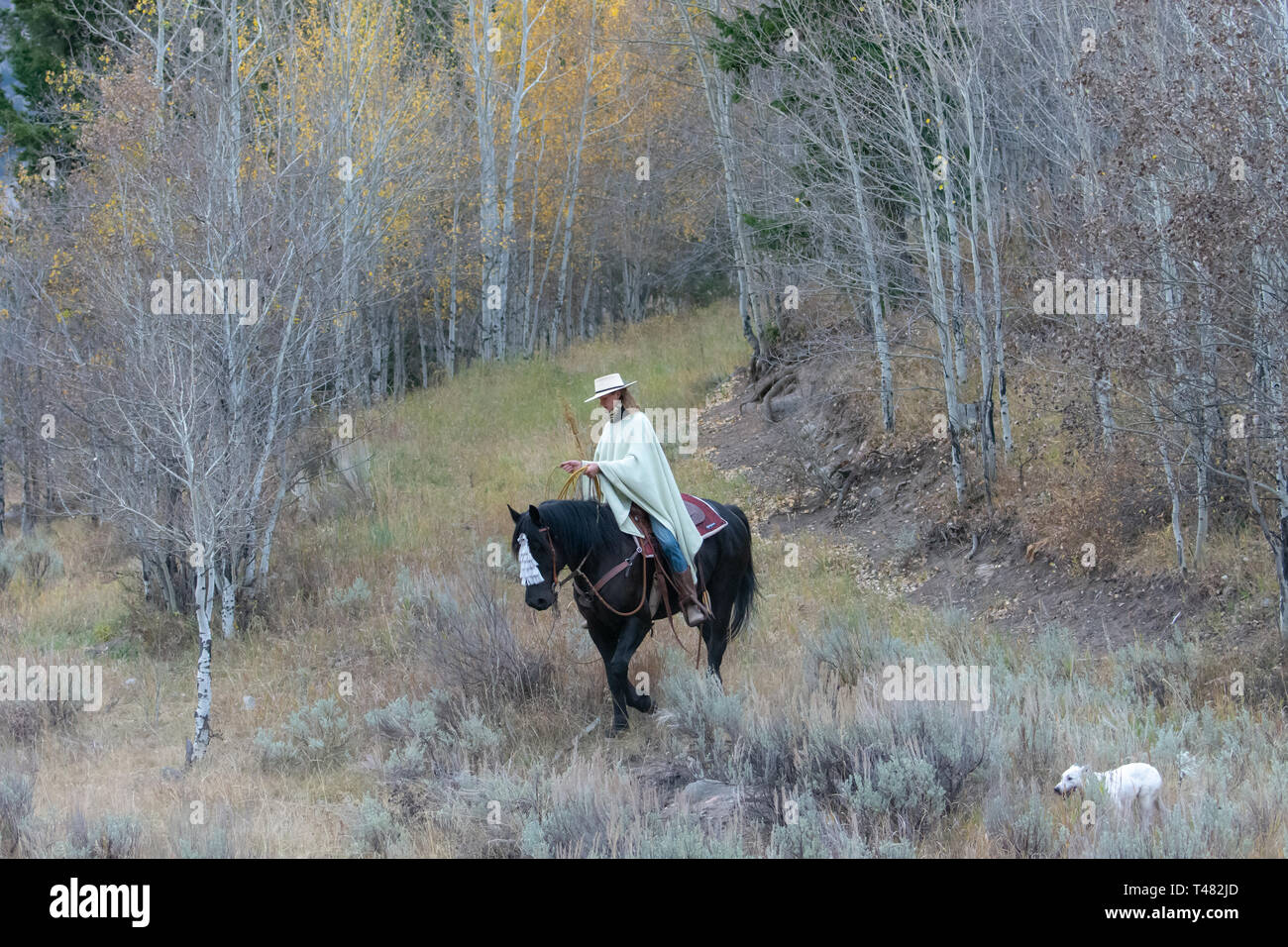 Gaucho poncho hi-res stock photography and images - Page 2