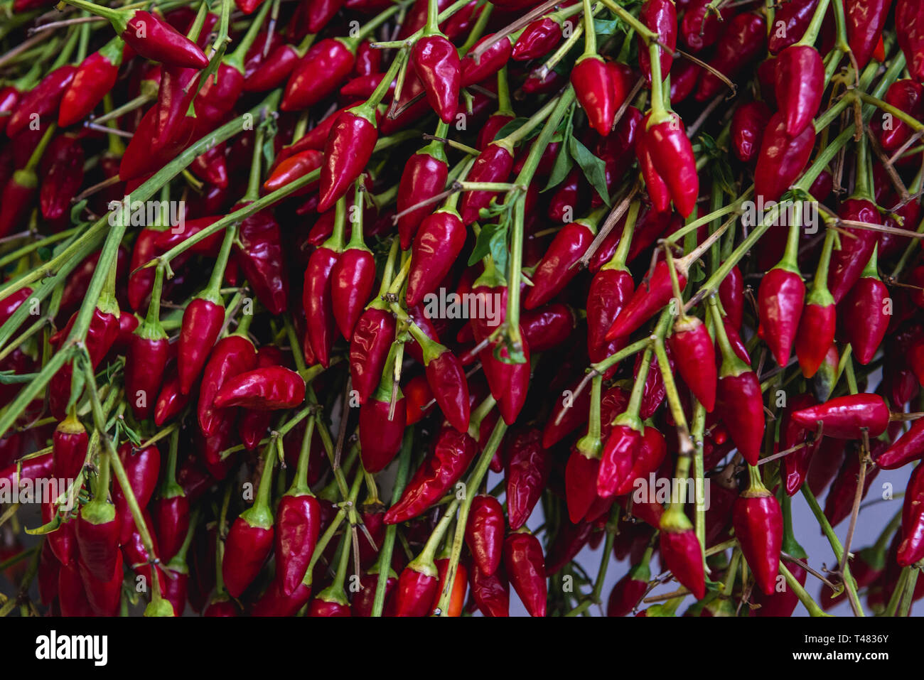 Small red hot peppers on Mercado do Livramento indoor market in Setubal near Lisbon, Portugal Stock Photo