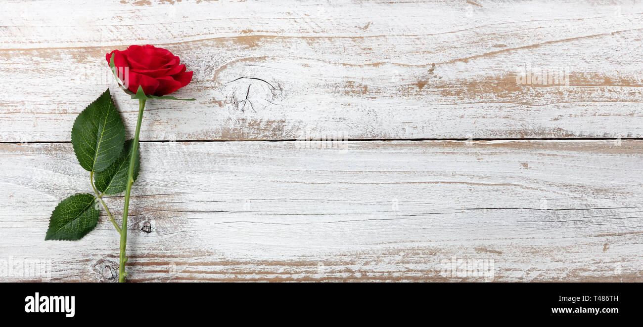 Anniversary background with a single red rose on white rustic wood ...