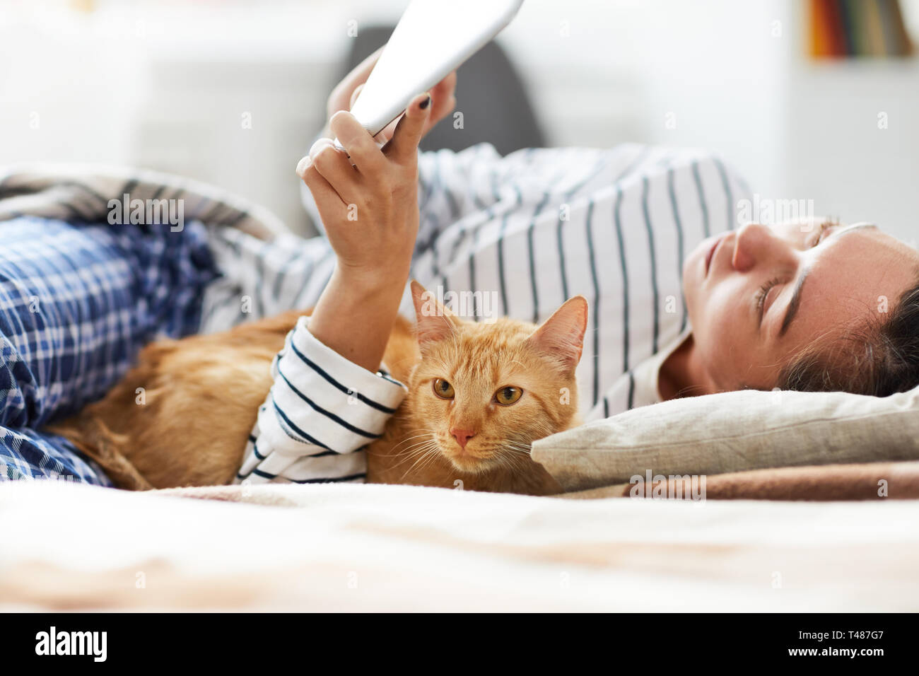 Cat Lying in Bed with Owner Stock Photo