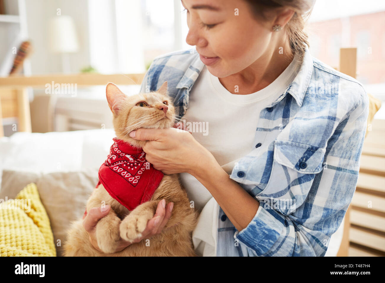 Cat Wearing Bandana Stock Photo