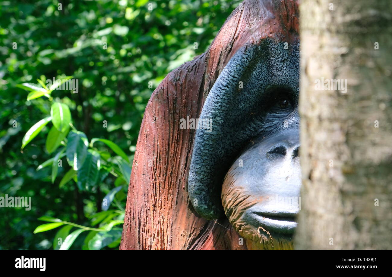 Urang Utang High Resolution Stock Photography And Images Alamy<script async src=