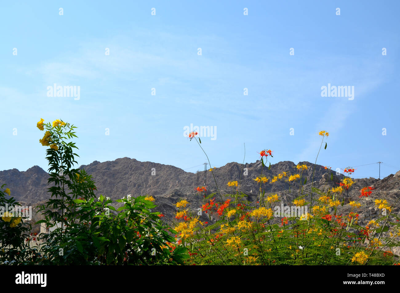 Muscat Oman Landscape rocks Stock Photo