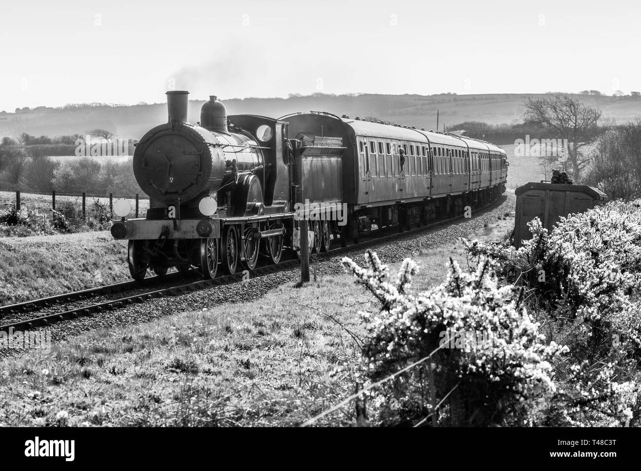 Dorset life magazine Black and White Stock Photos & Images Alamy