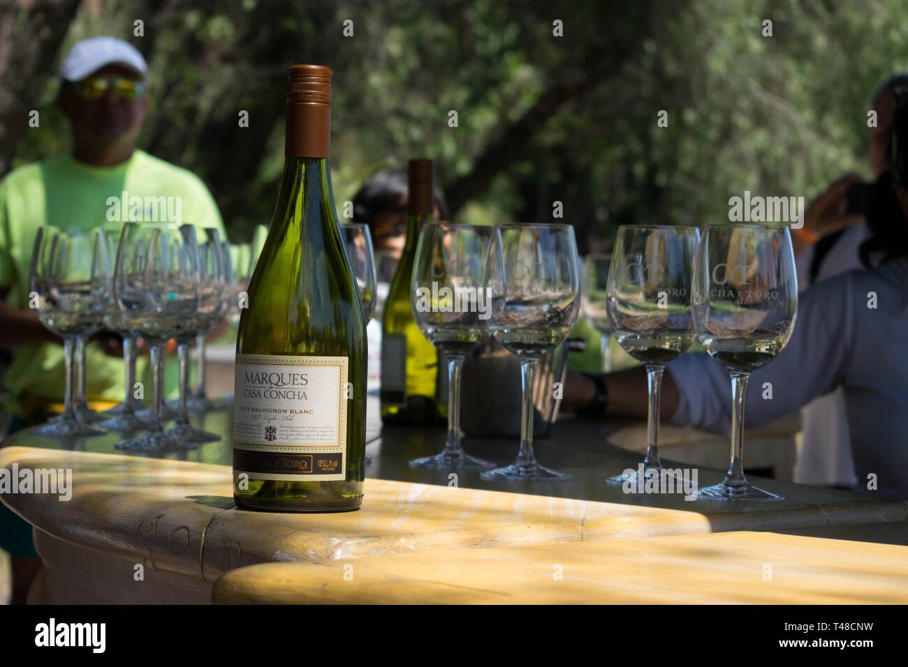 SANTIAGO, CHILE - Apr 06, 2019: Bottle of Concha y Toro brand white wine, placed on a table next to some glasses in a wine tasting Stock Photo