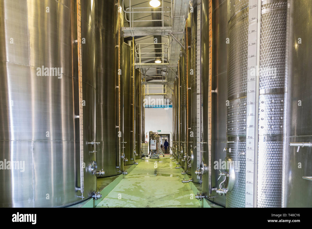 Inside the cellars with huge steel fermentation tanks at McGregor Wines