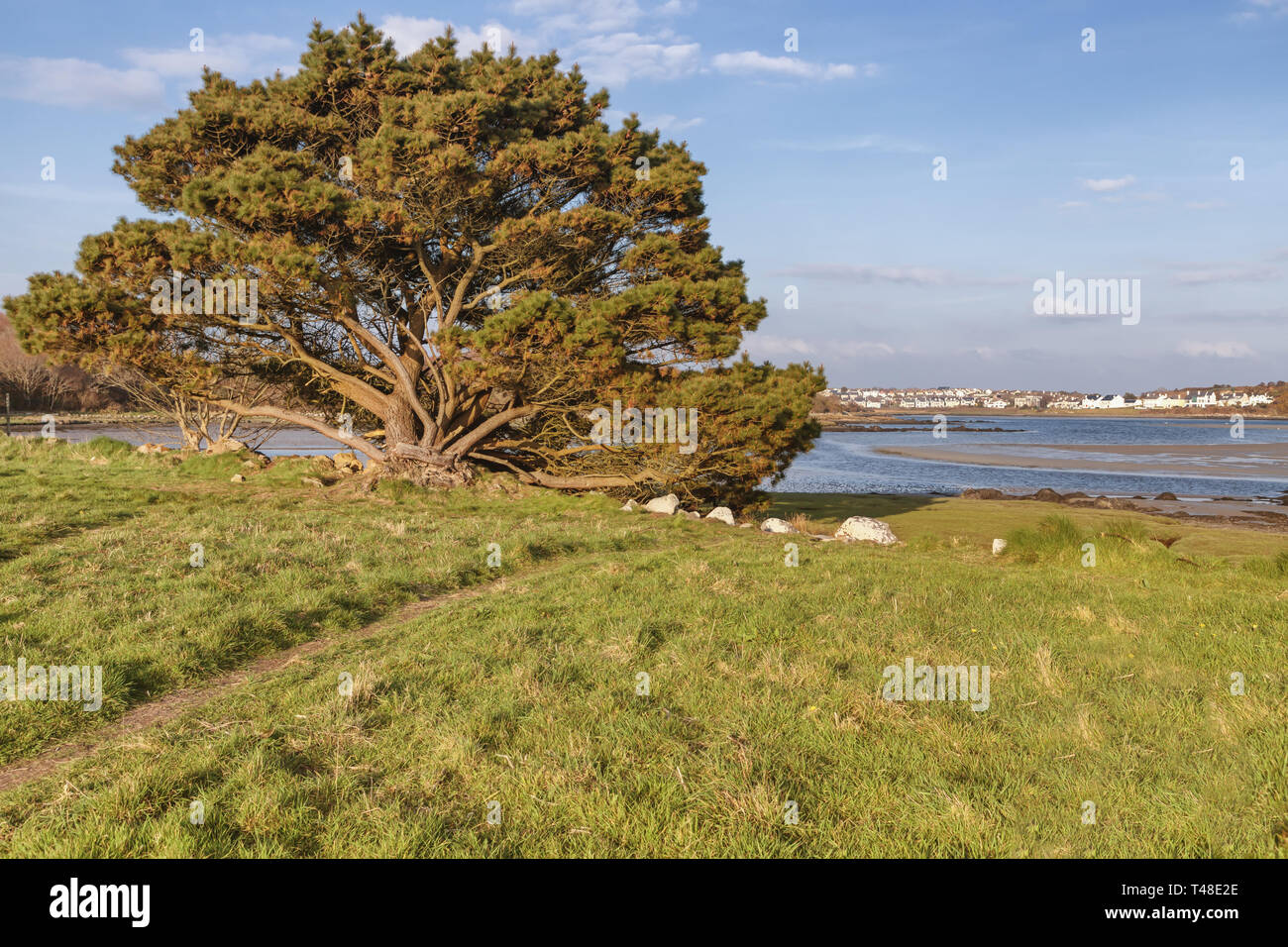 Salthill houses and Silvestrand beach in Galway Bay, Salthill, Galway
