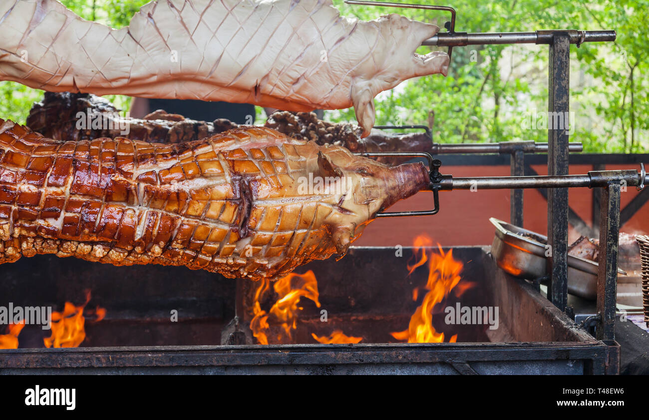 Three whole pigs on a spit on a barbecue Stock Photo