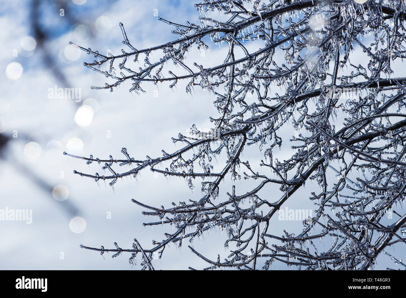 Montreal icy rain hi-res stock photography and images - Alamy