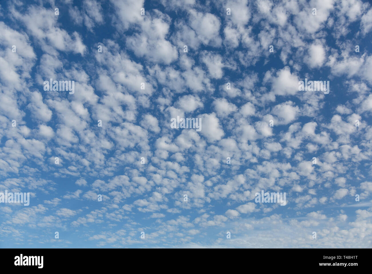 Cirrocumulus clouds Stock Photo