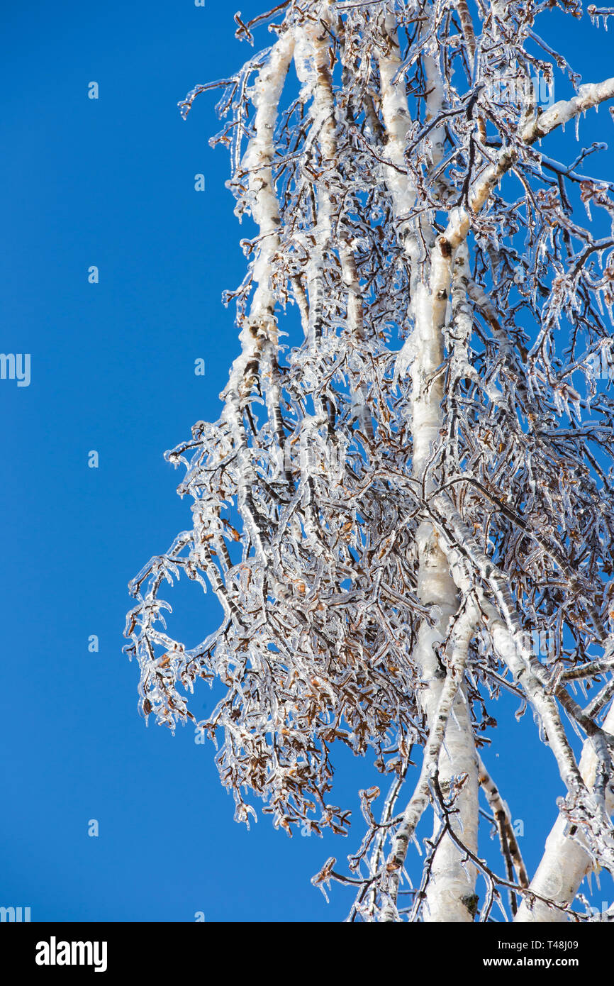 Montreal icy rain hi-res stock photography and images - Alamy