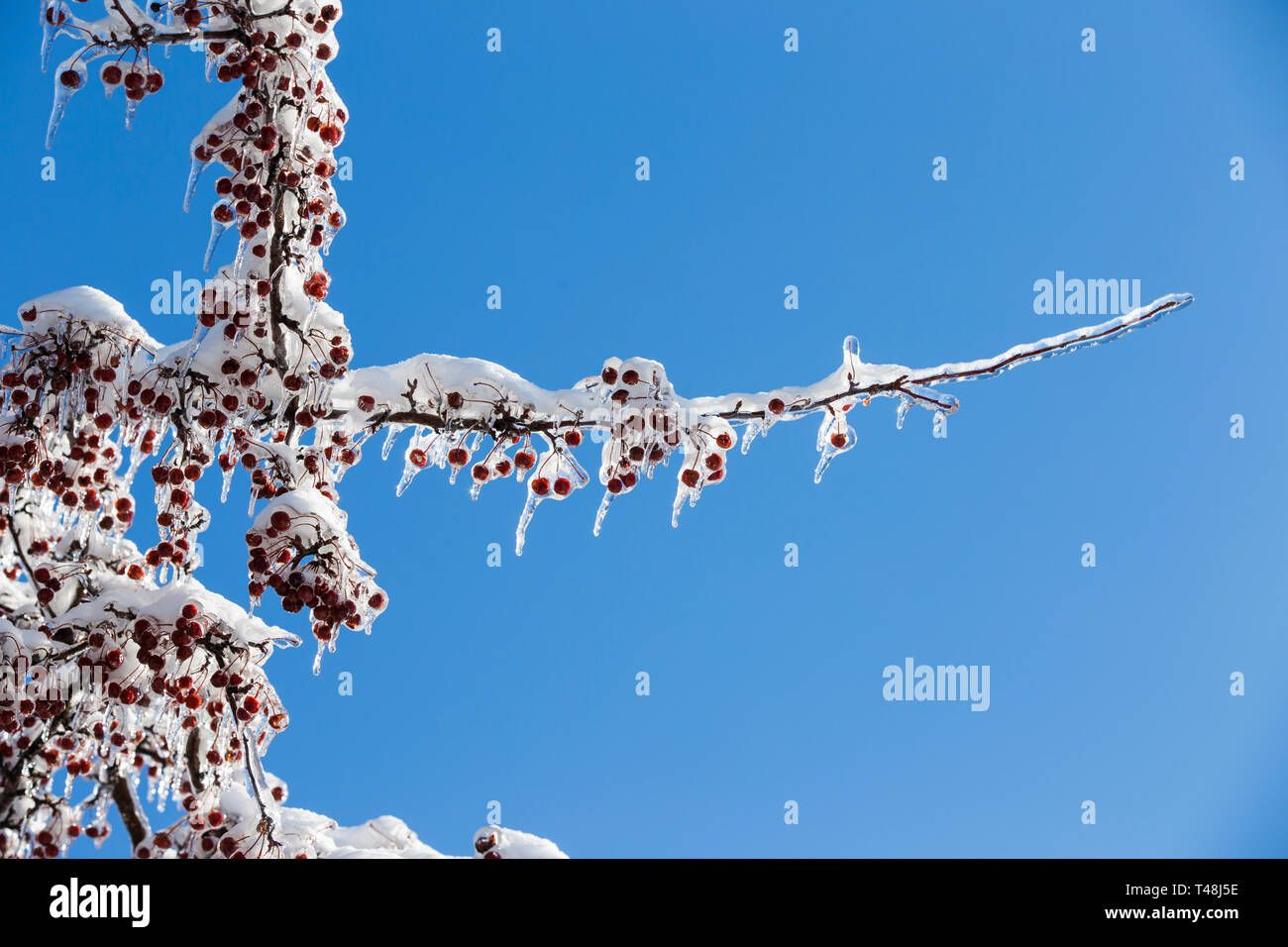 Montreal icy rain hi-res stock photography and images - Alamy