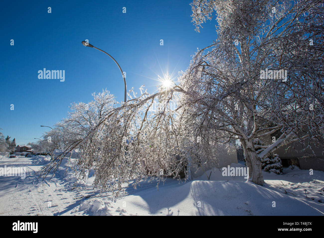 Montreal icy rain hi-res stock photography and images - Alamy