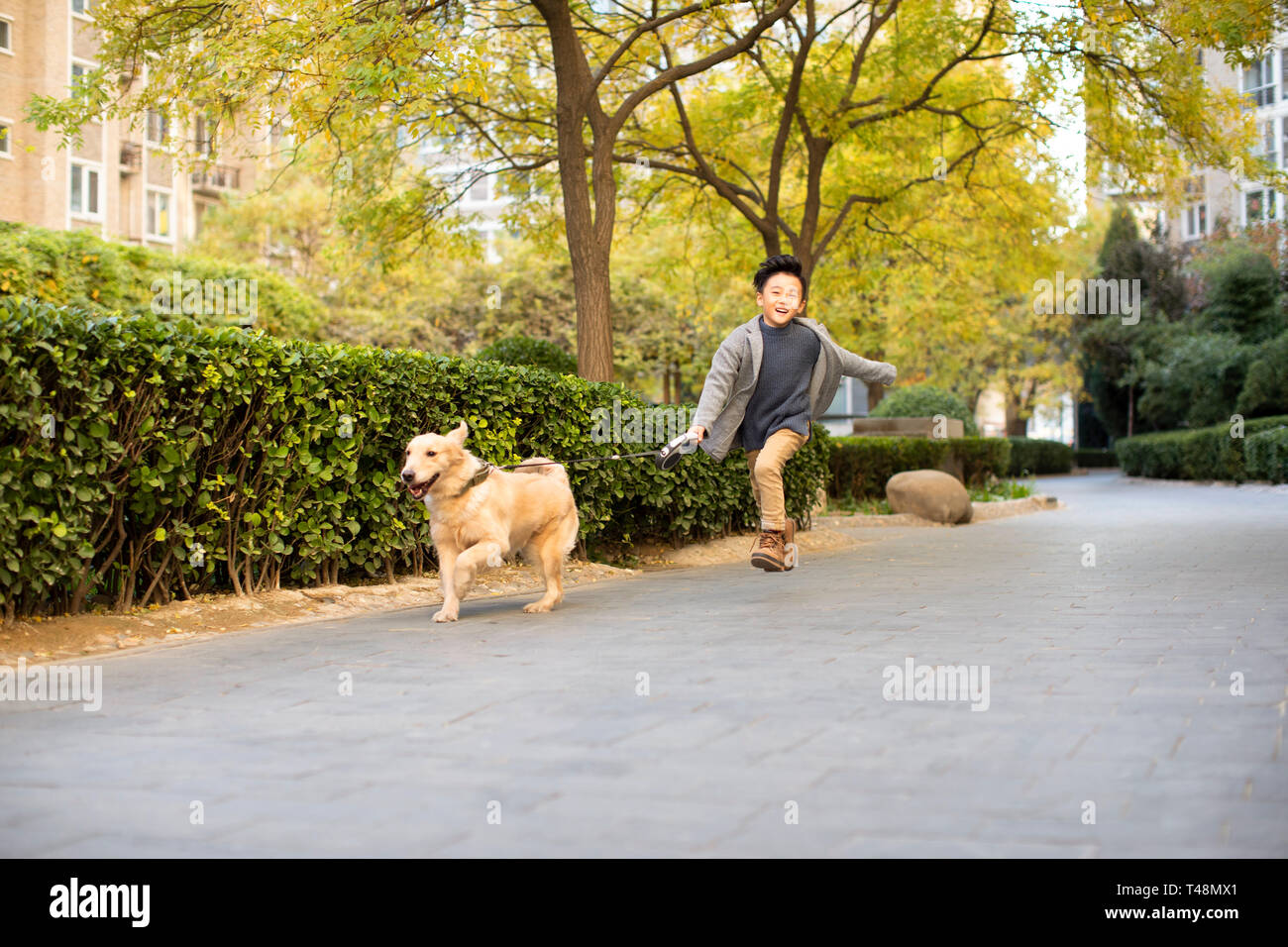 Little boy running with dog Stock Photo