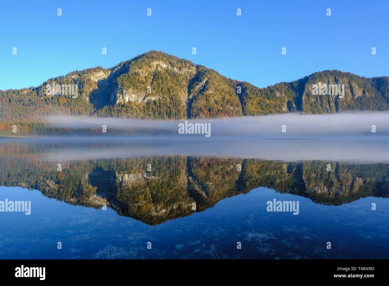 Morgennebel, Lake Sylvensteinsee, near Lenggries, Isarwinkel, Upper Bavaria, Bavaria, Germany Stock Photo