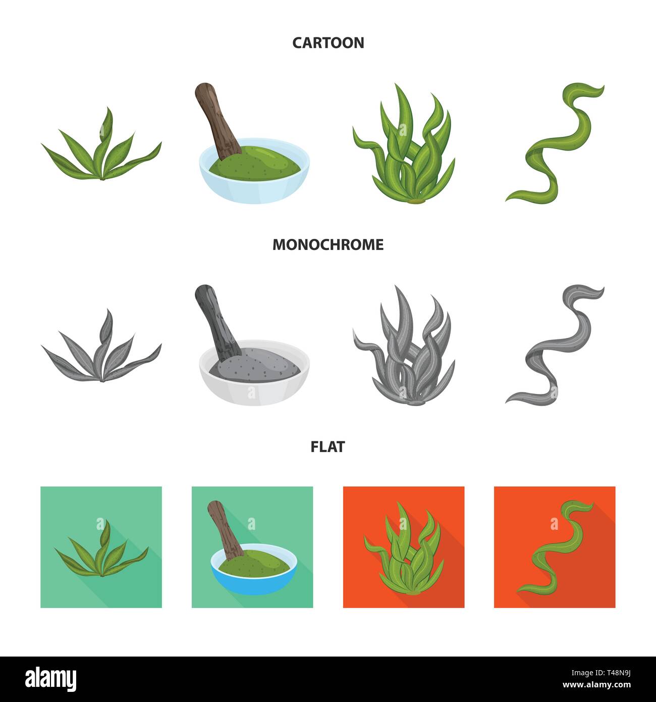 algae,supplement,healthy,powder,spiral,organic,dried,aquaculture ...