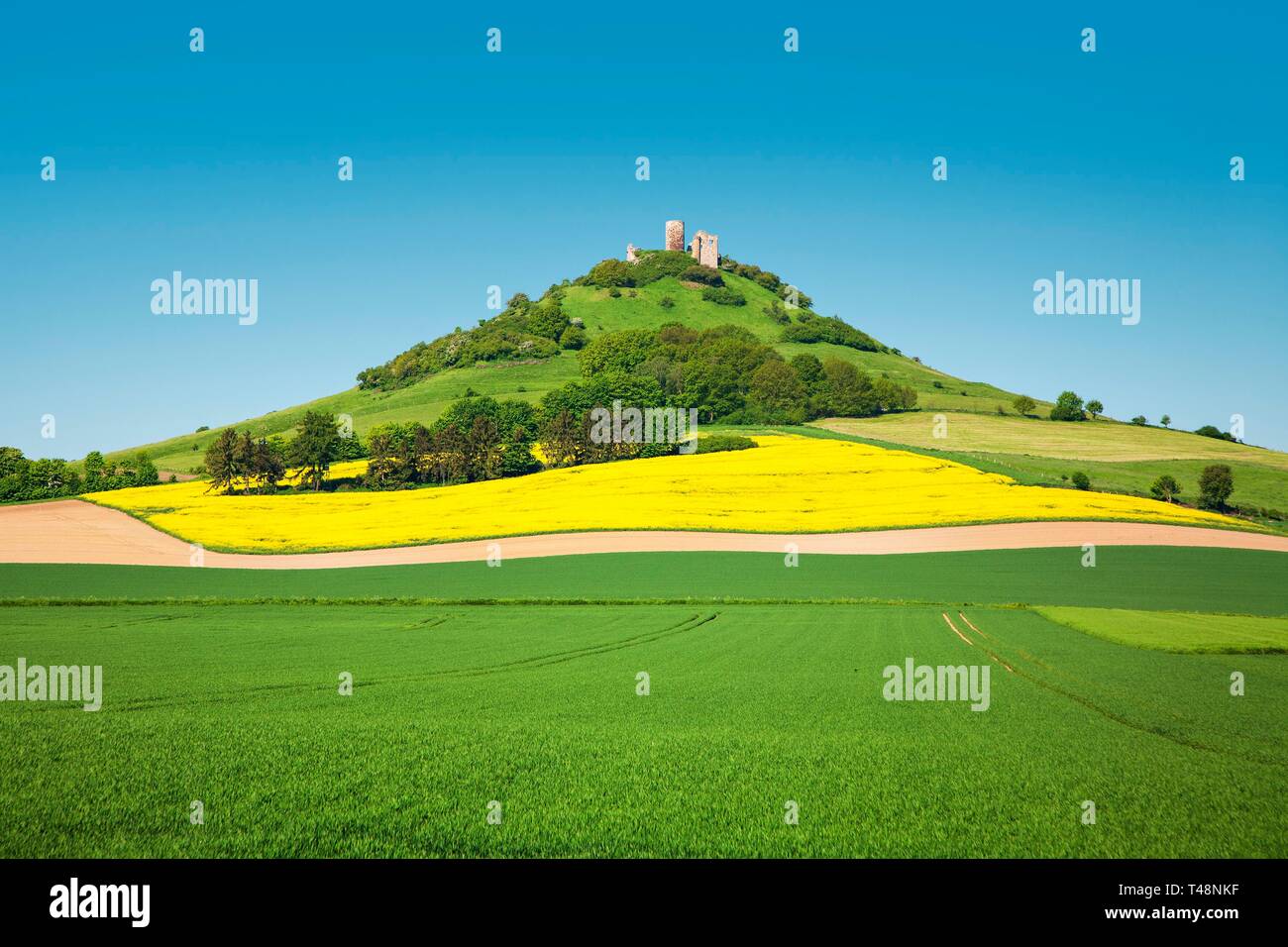 Desenberg Daseburg hi-res stock photography and images - Alamy