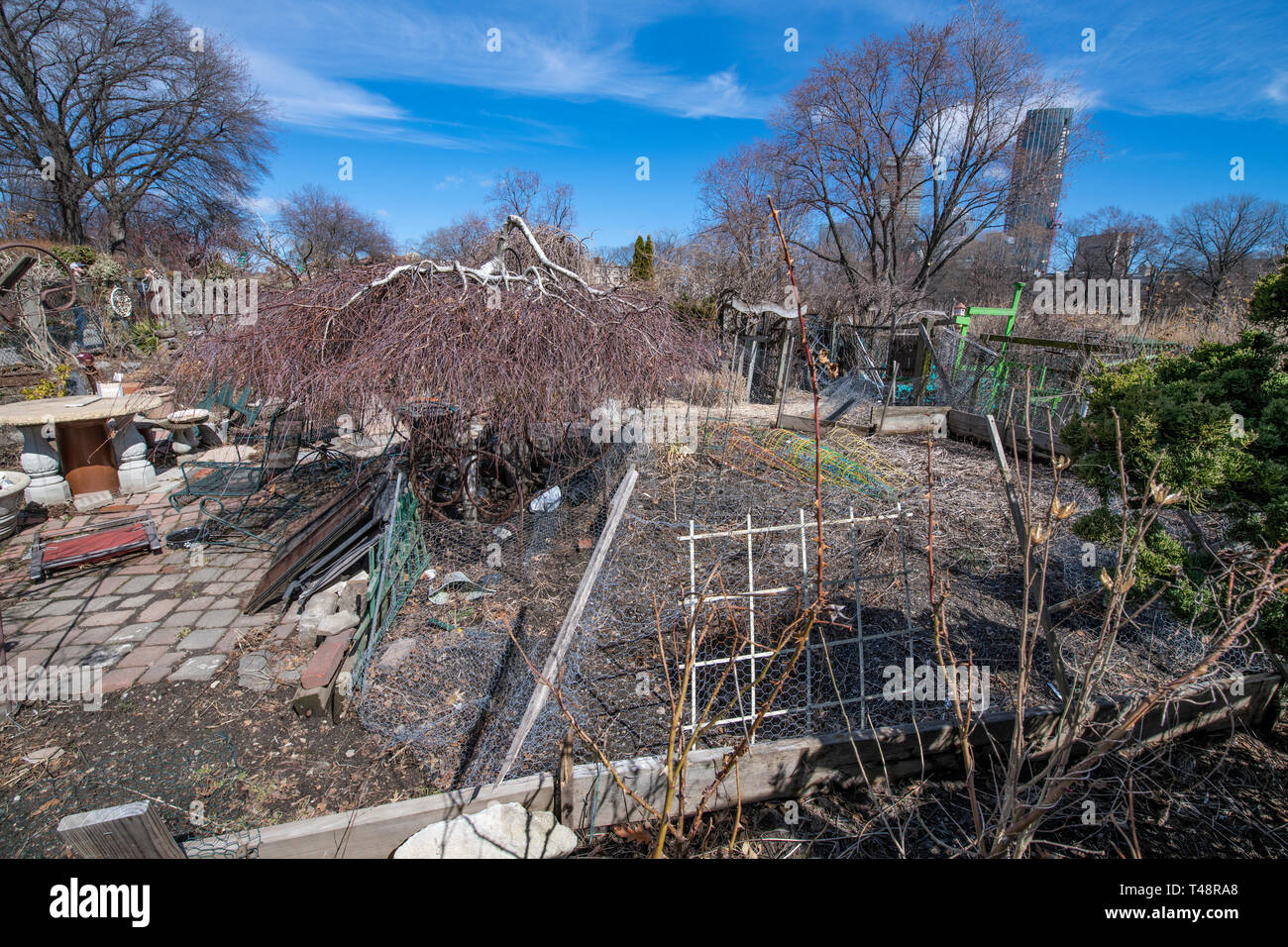 Fenway victory gardens hires stock photography and images Alamy