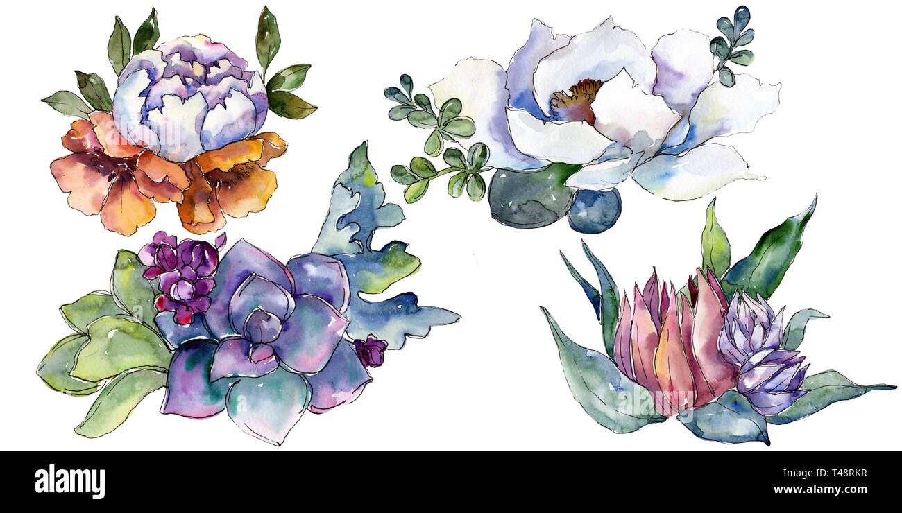 Bouquets floral botanical flowers. Watercolor background illustration ...