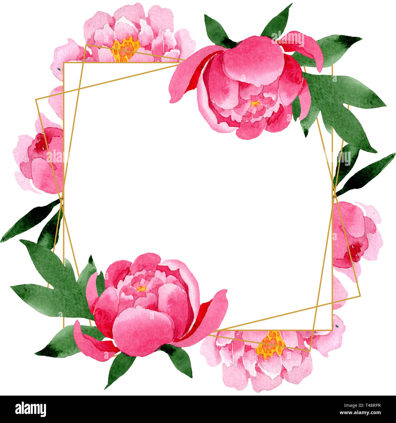 Pink Peony Floral Botanical Flowers Watercolor Background Illustration Set Frame Border 6581