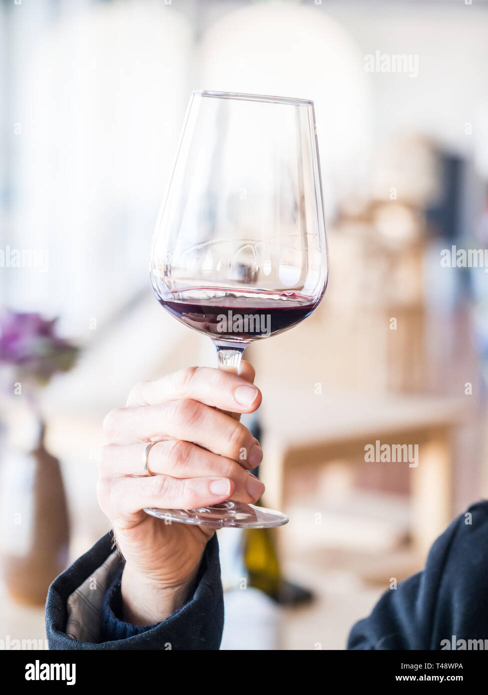Male hand holding a glass of red wine  at wine tasting in Setugal wine region, Portugal. Stock Photo