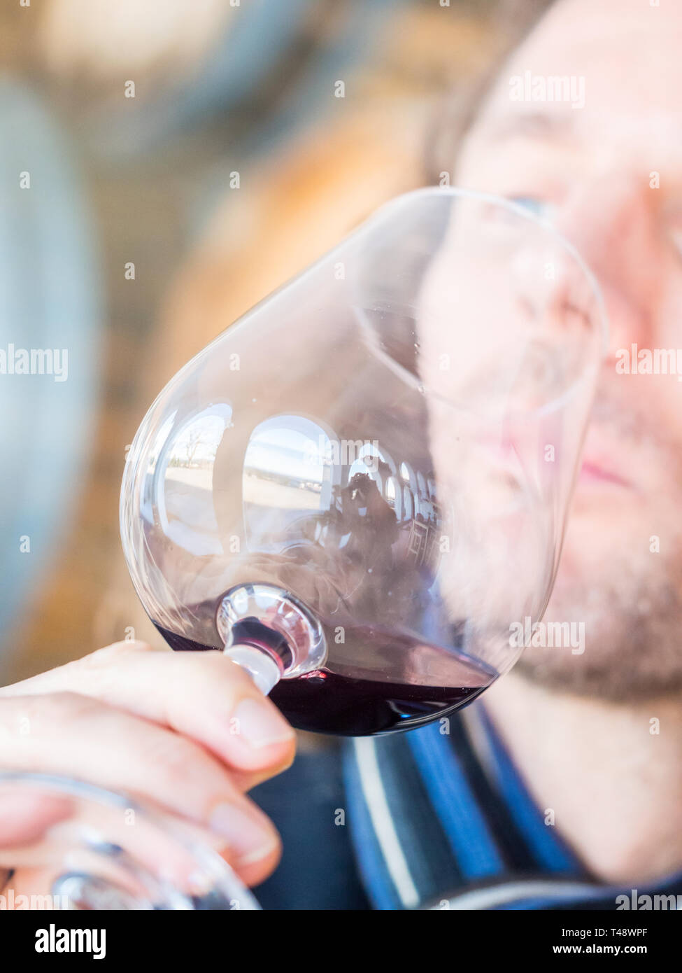 Young man tasting red wine in Setuabl wine region, Portugal. Stock Photo