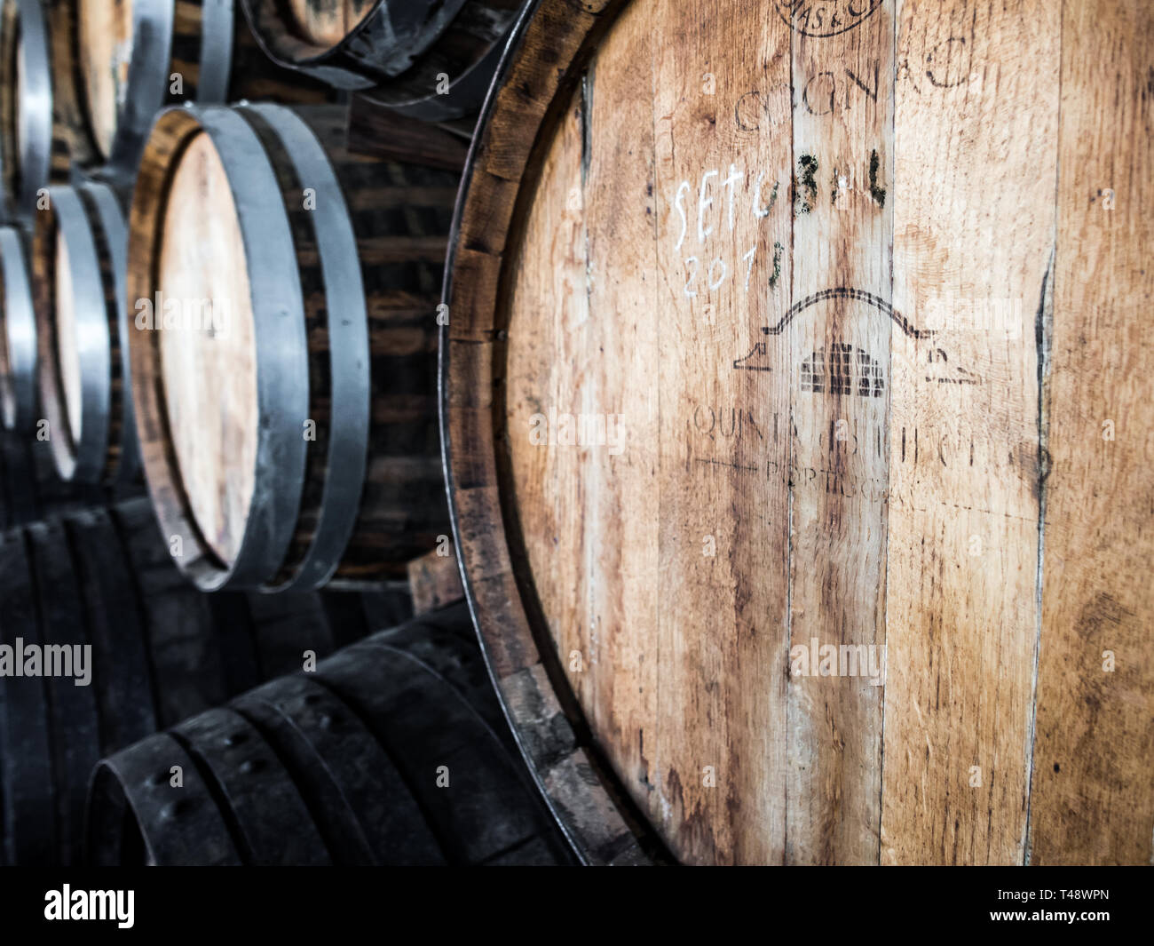 Setubal, Portugal - February 02, 2018: Wooden wine barrels in Quinta do Piloto, Setubal wine region, Portugal. Stock Photo
