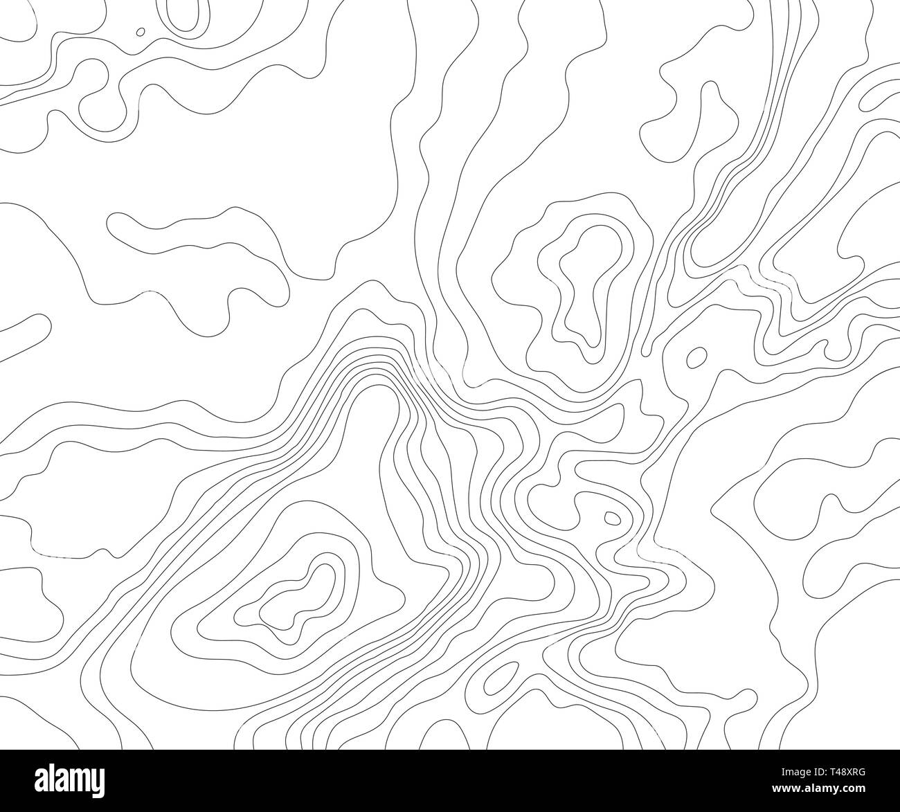Topographic map on a white background. Vector illustration . Stock Vector