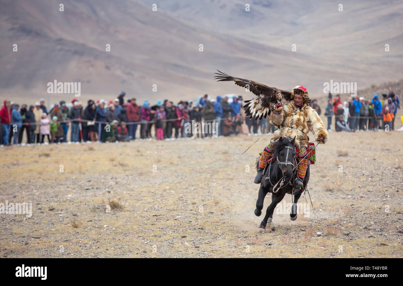 bayan Ulgii, Mongolia, 3rd October 2015: mongolian eagle hunter training his eagle in a landscape of Western Mongolia Stock Photo