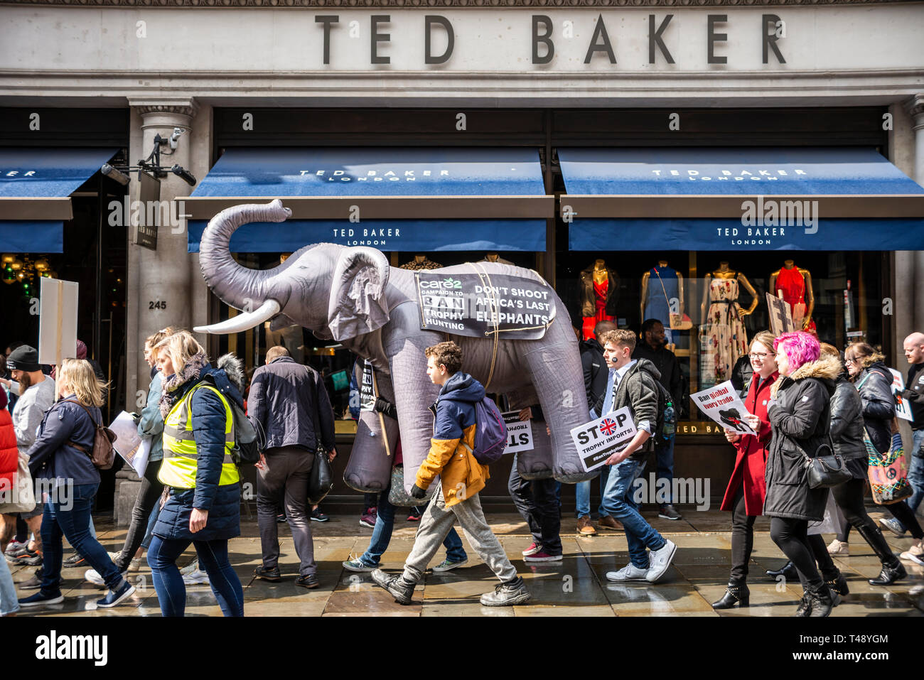 Protesters carry an inflatable elephant through streets of london at a stop trophy hunting and ivory trade protest rally London, UK. Passing Ted Baker Stock Photo