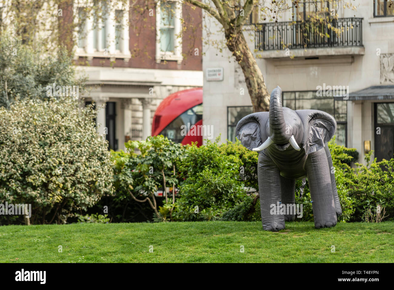 Inflatable elephant at a stop trophy hunting and ivory trade protest rally, London, UK. Isolated in Cavendish Square park Stock Photo