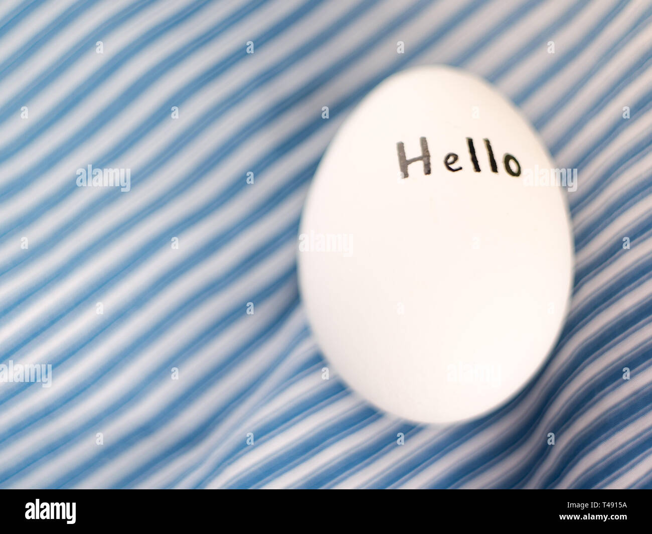 White chicken egg with black inscription hello. Stock Photo