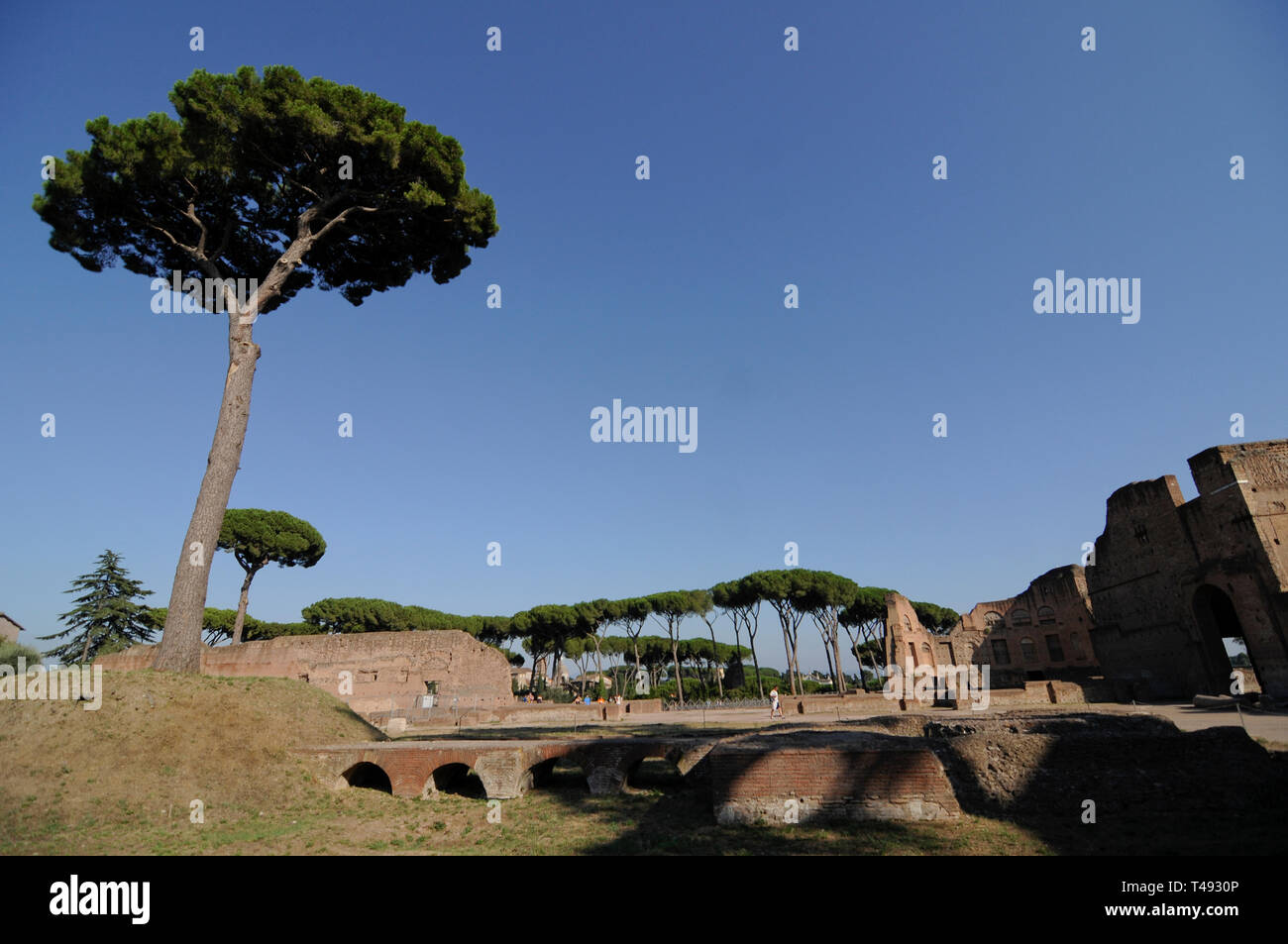 Roman Forum, Rome, Italy Stock Photo