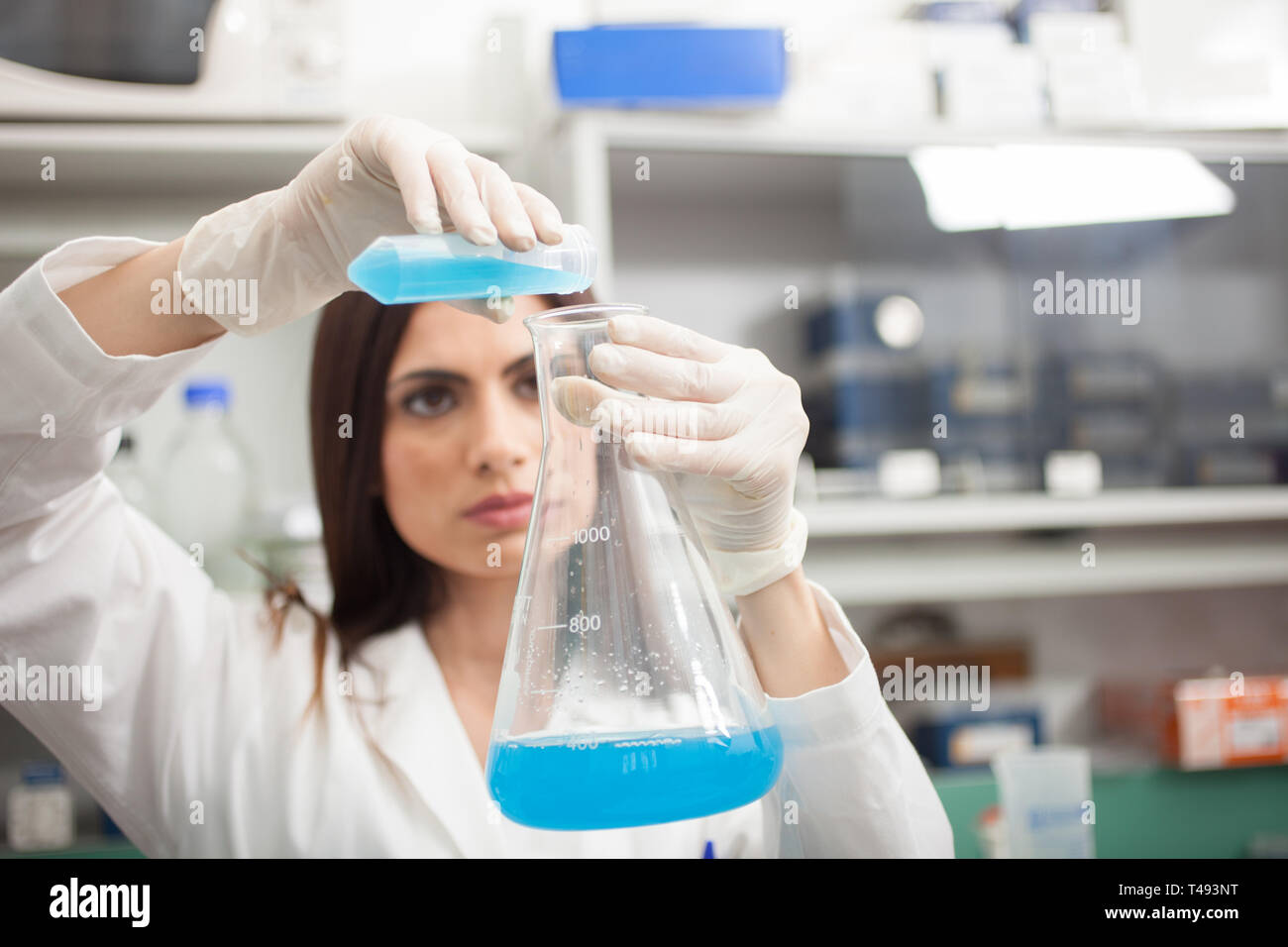 Scientist filling an Erlenmeyer flask in a chemical laboratory Stock