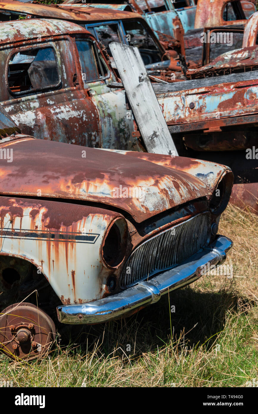 A portrait view of an abandoned rusted Simca car in a car wrecking yard. Horopito Motors, or 'Smash Palace', New Zealand Stock Photo